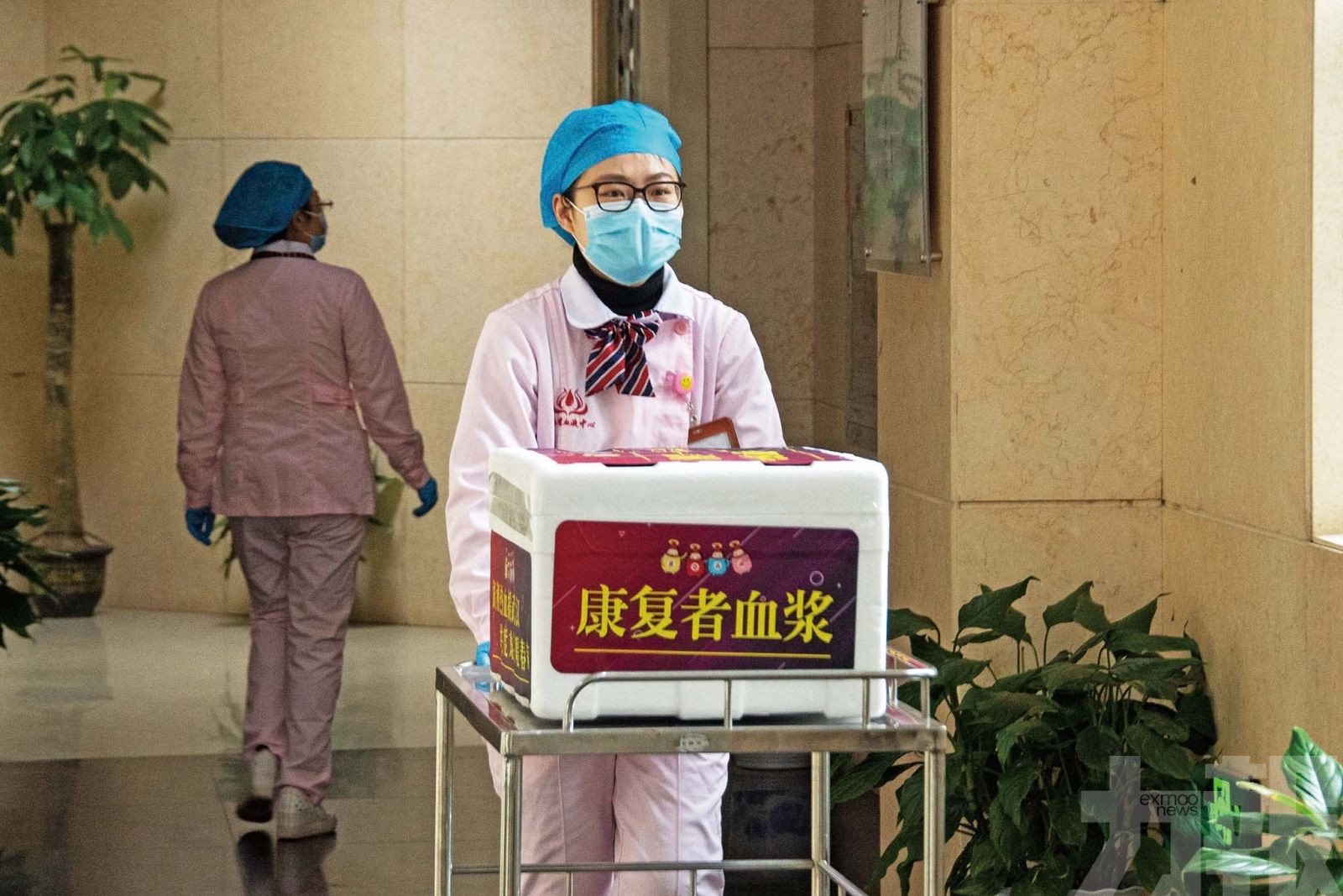 研究：有排毒期49天病例