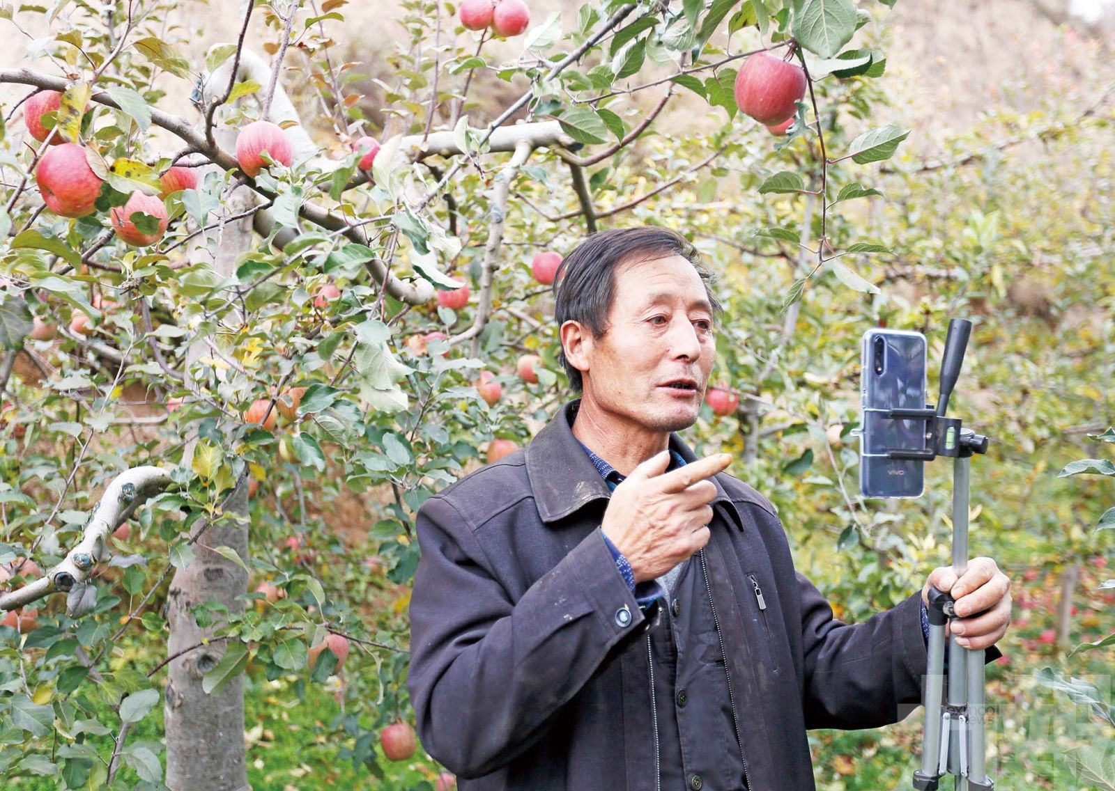 淘寶直播帶動400萬就業