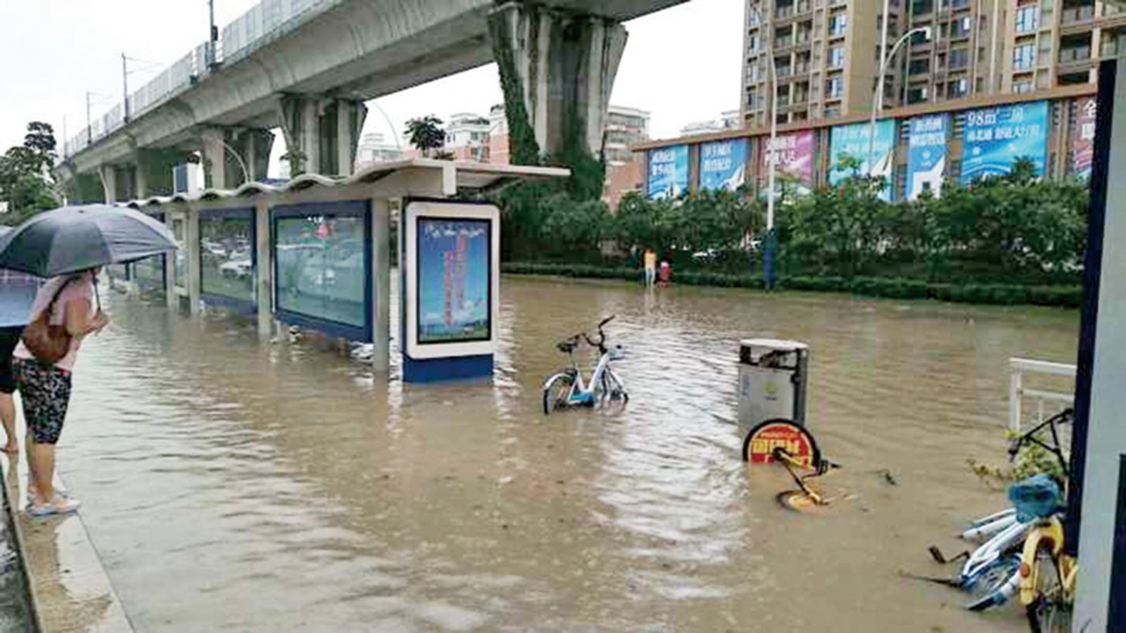 珠港深落「紅雨」