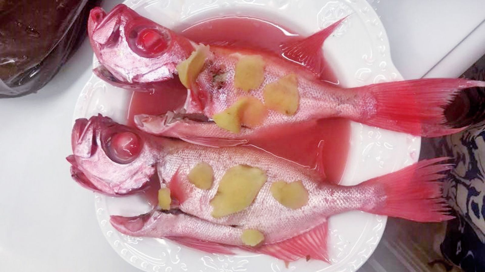 香港發現染色大眼雞魚