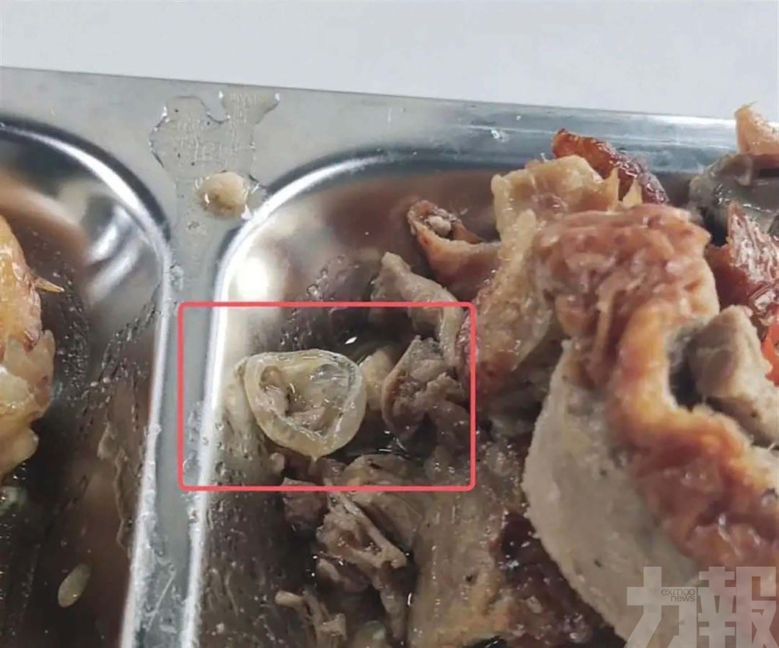廣州學校食堂飯菜疑現避孕套