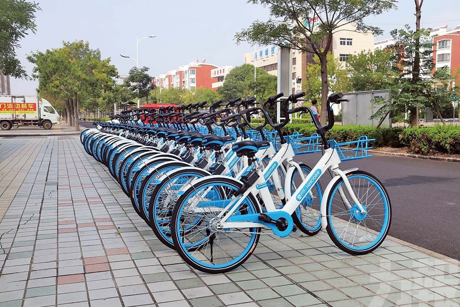 支持共享單車新規