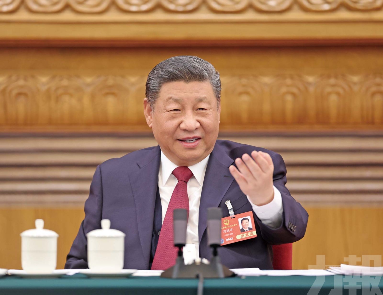 習近平出席江蘇代表團審議