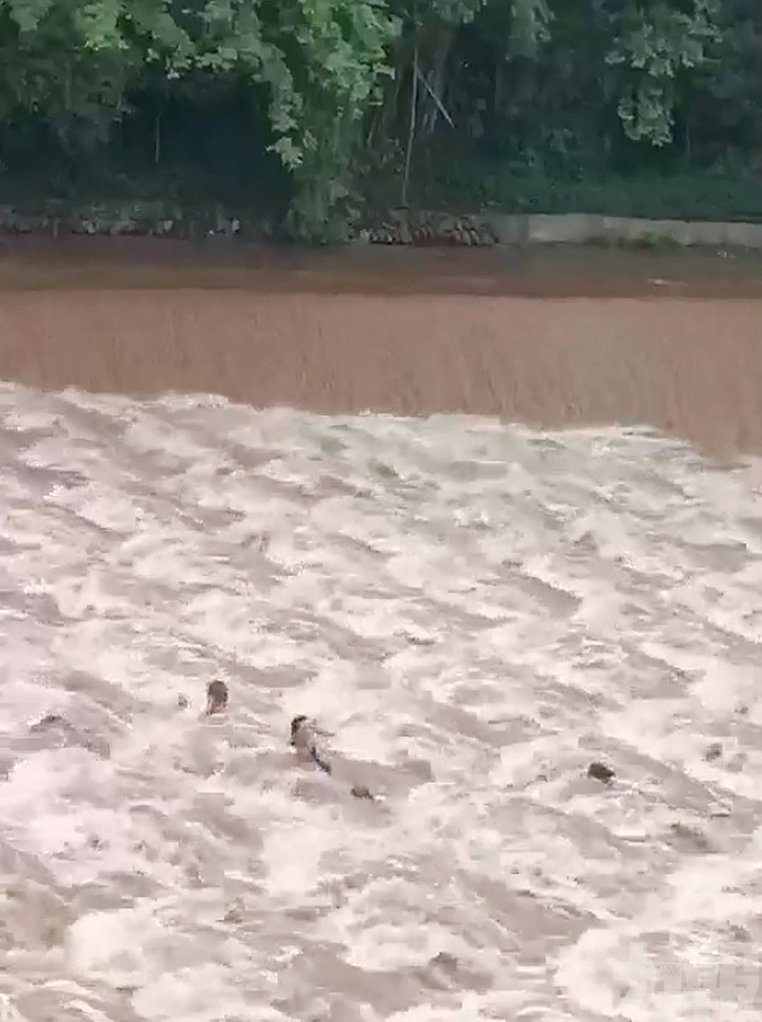 四川網紅熱點魚鱗壩河水暴漲