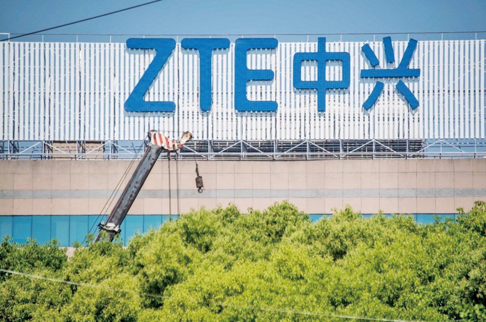 中興復牌暴跌
