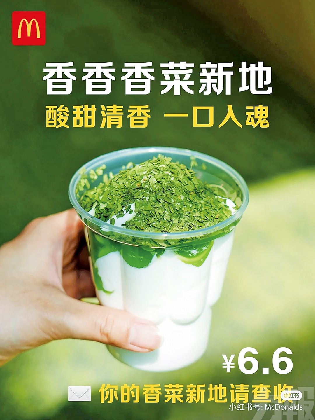內地麥當勞開賣「香菜新地」