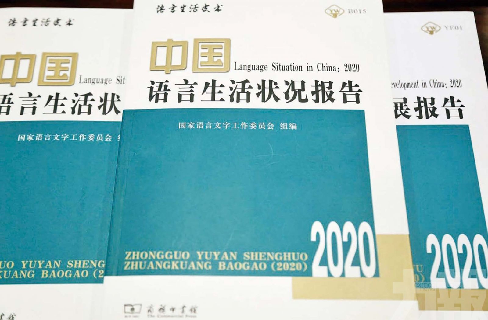 「穩」當選2019年度熱字