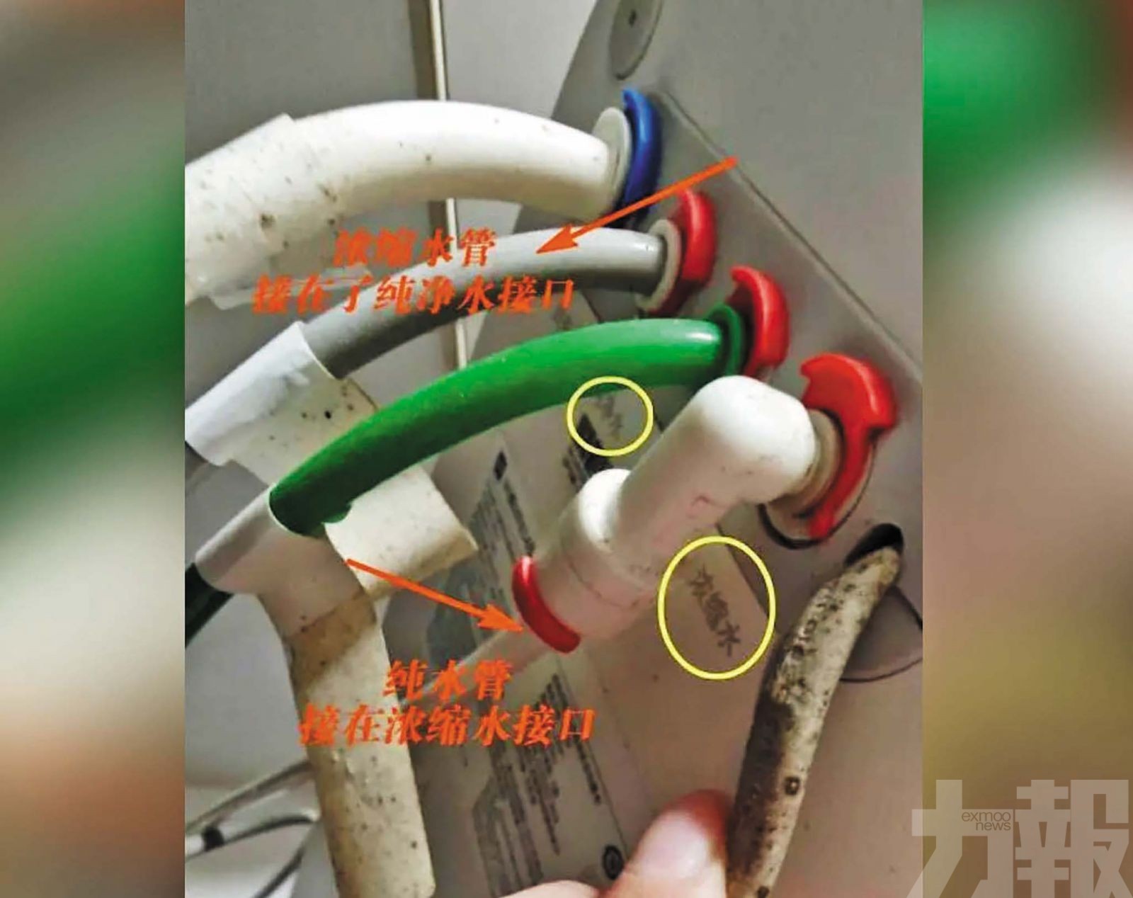 管線裝錯上海一家飲五年「廢水」