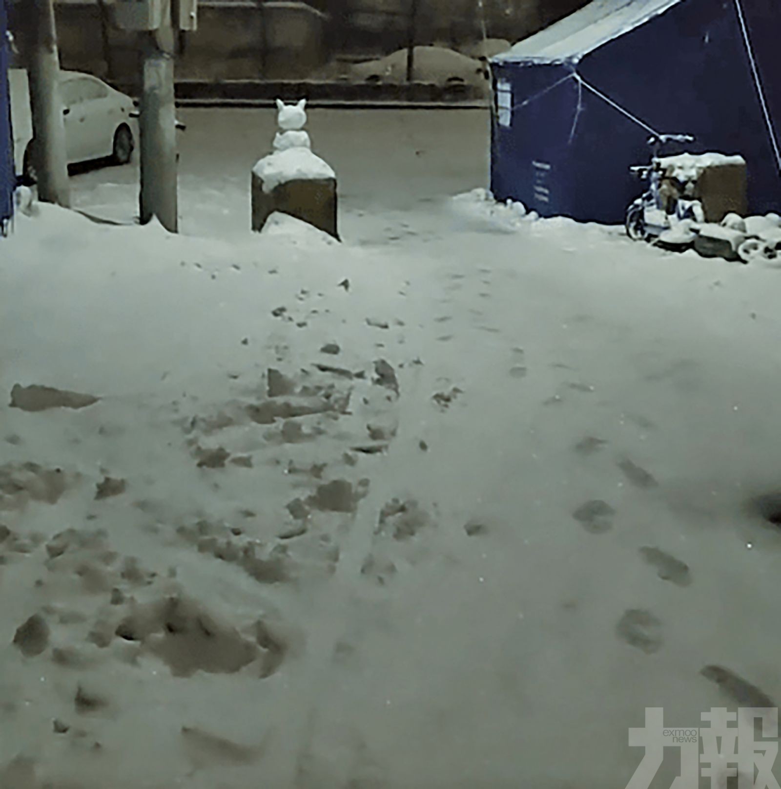 河南禹州高中生返家遇阻