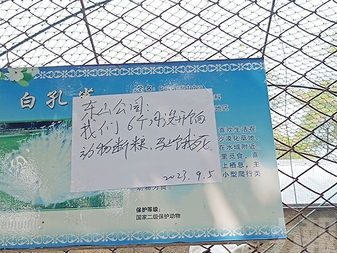 遼寧動物園欠薪動物將斷糧？