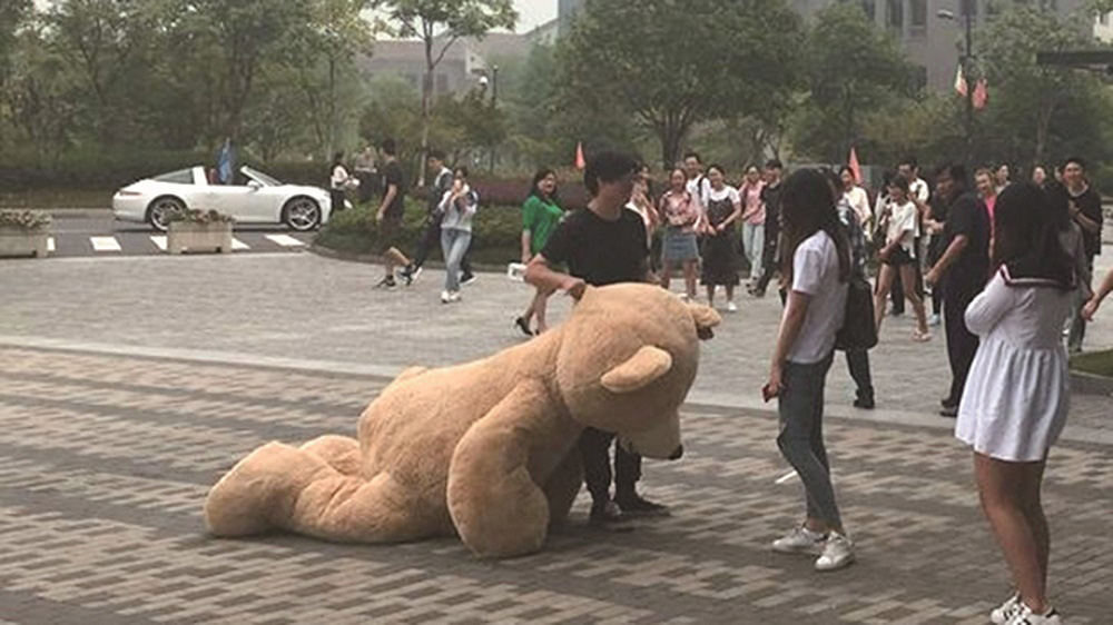 「喜歡熊不喜歡你」