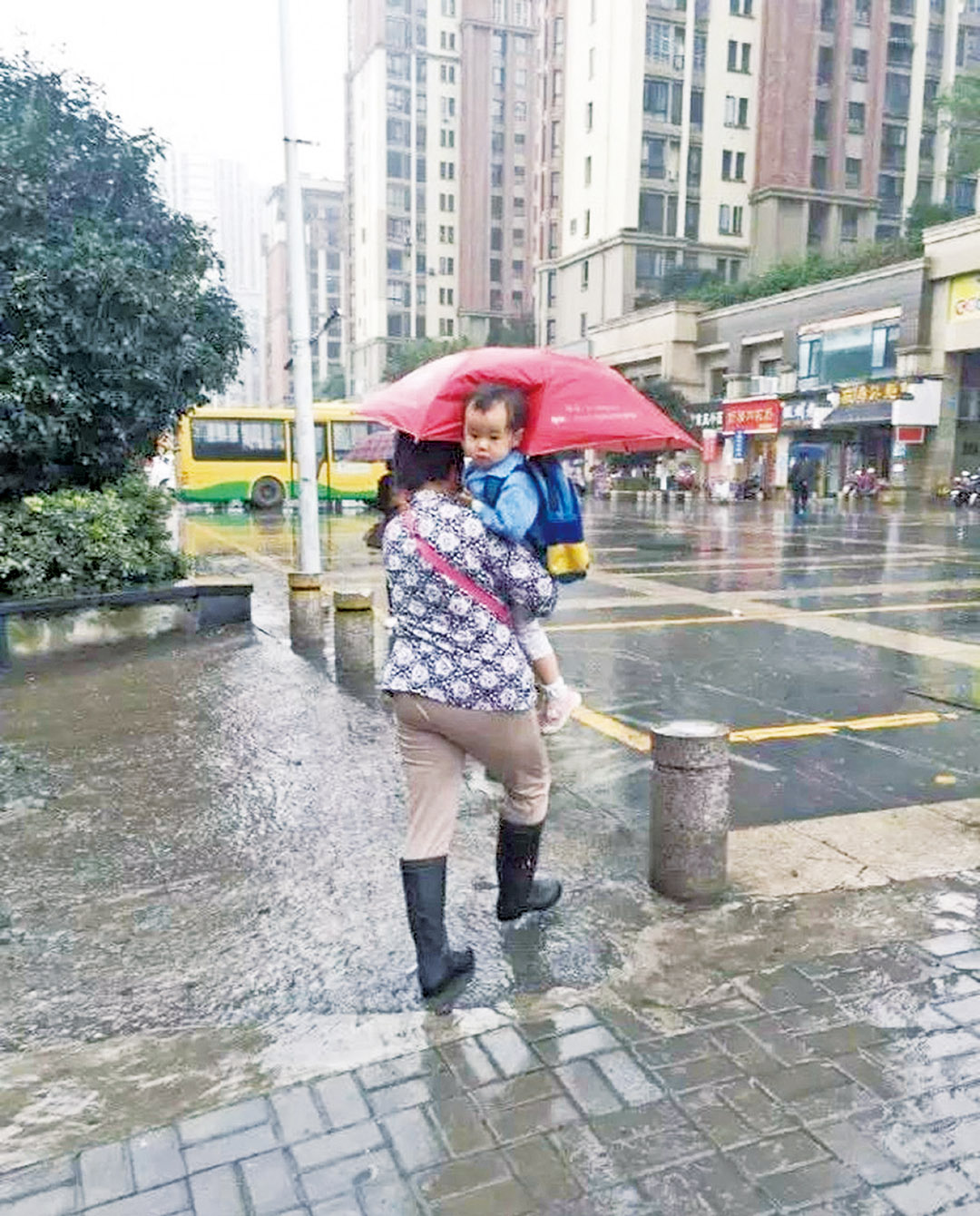 「拒之傘外」萌B成網紅