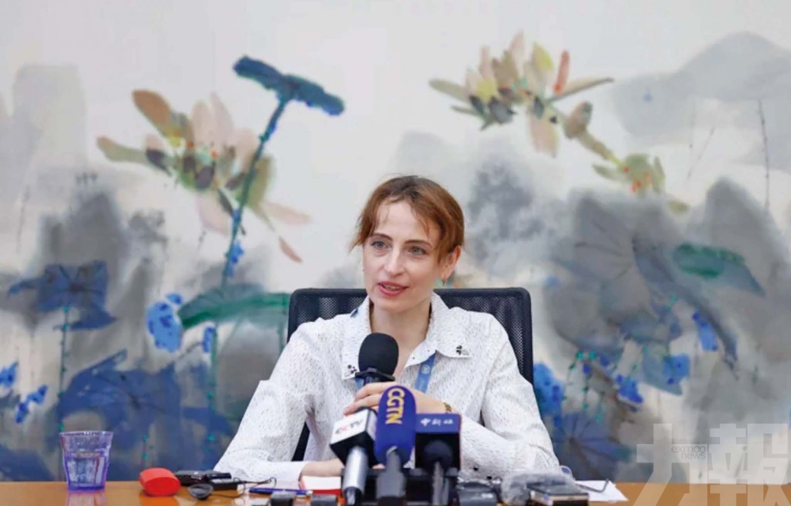 聯合國人權特別報告員：