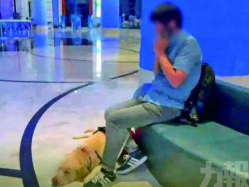 盲人帶導盲犬住酒店被拒