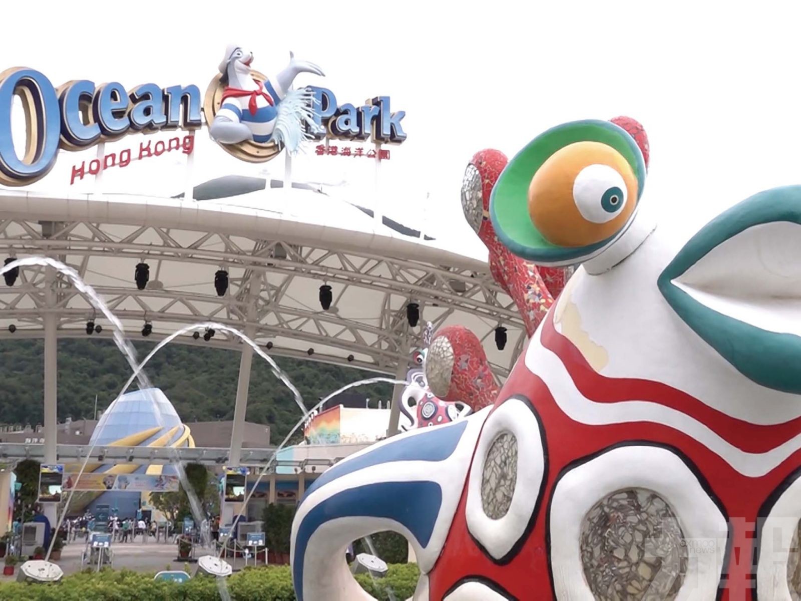 海洋公園正爭取大熊貓赴港