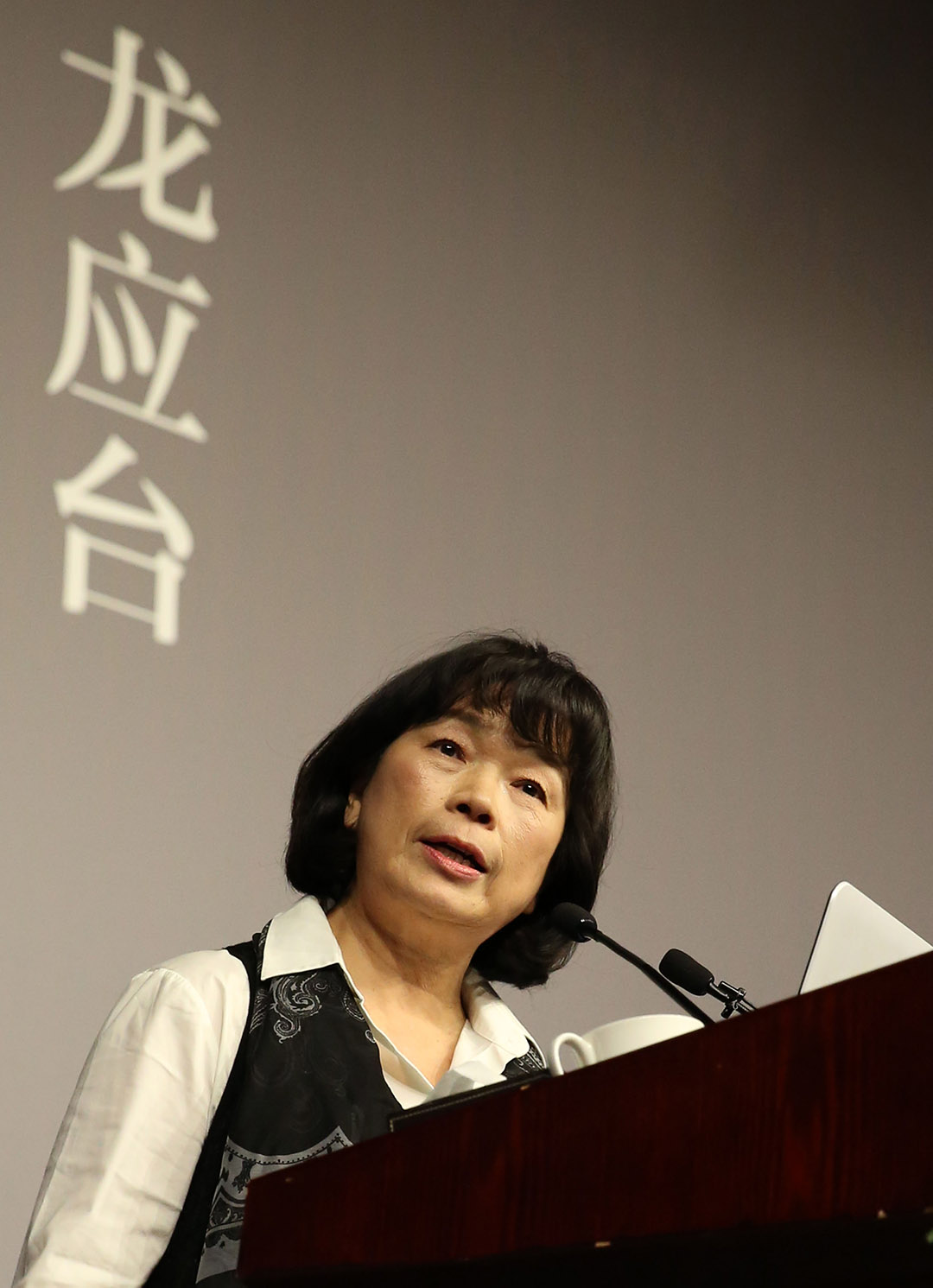龍應台香港開講