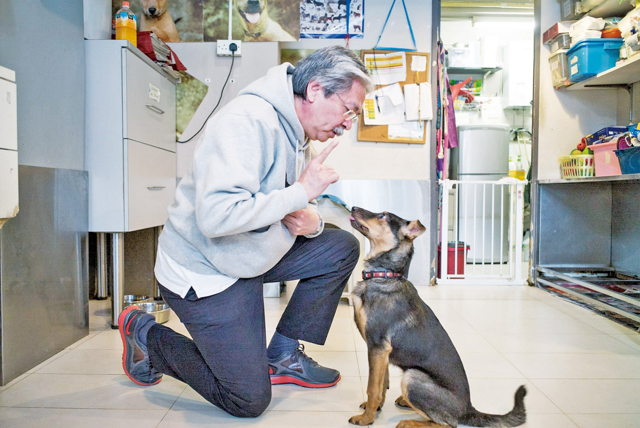 首提動物政綱