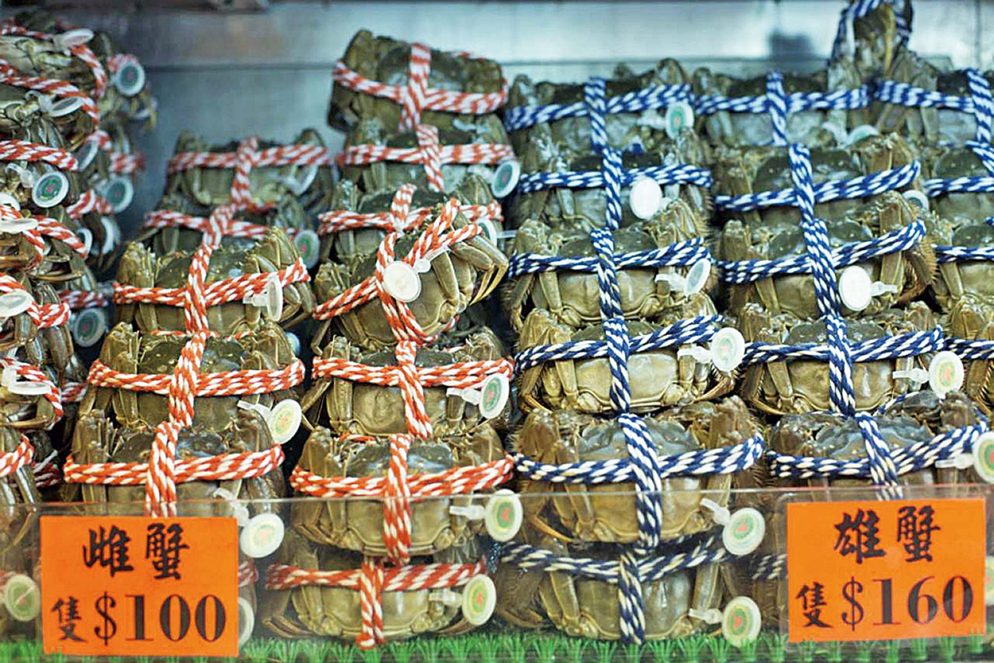 台灣大閘蟹驗出二噁英
