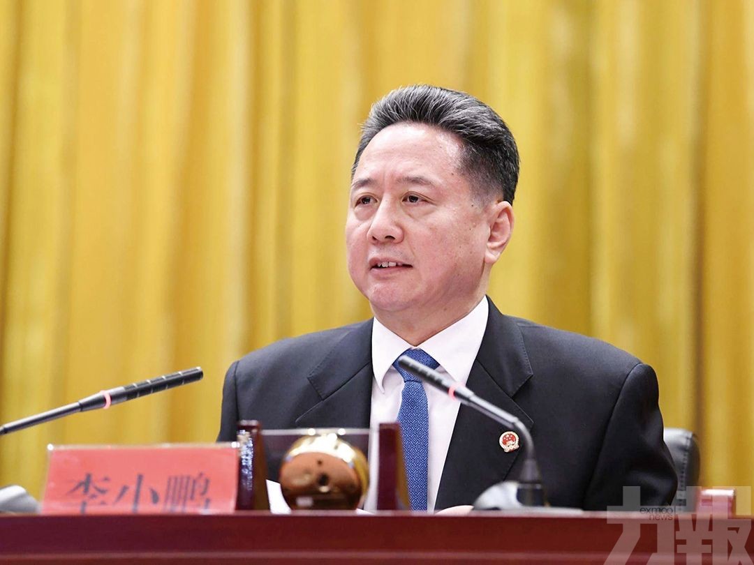 李鵬之子李小鵬接替楊傳堂