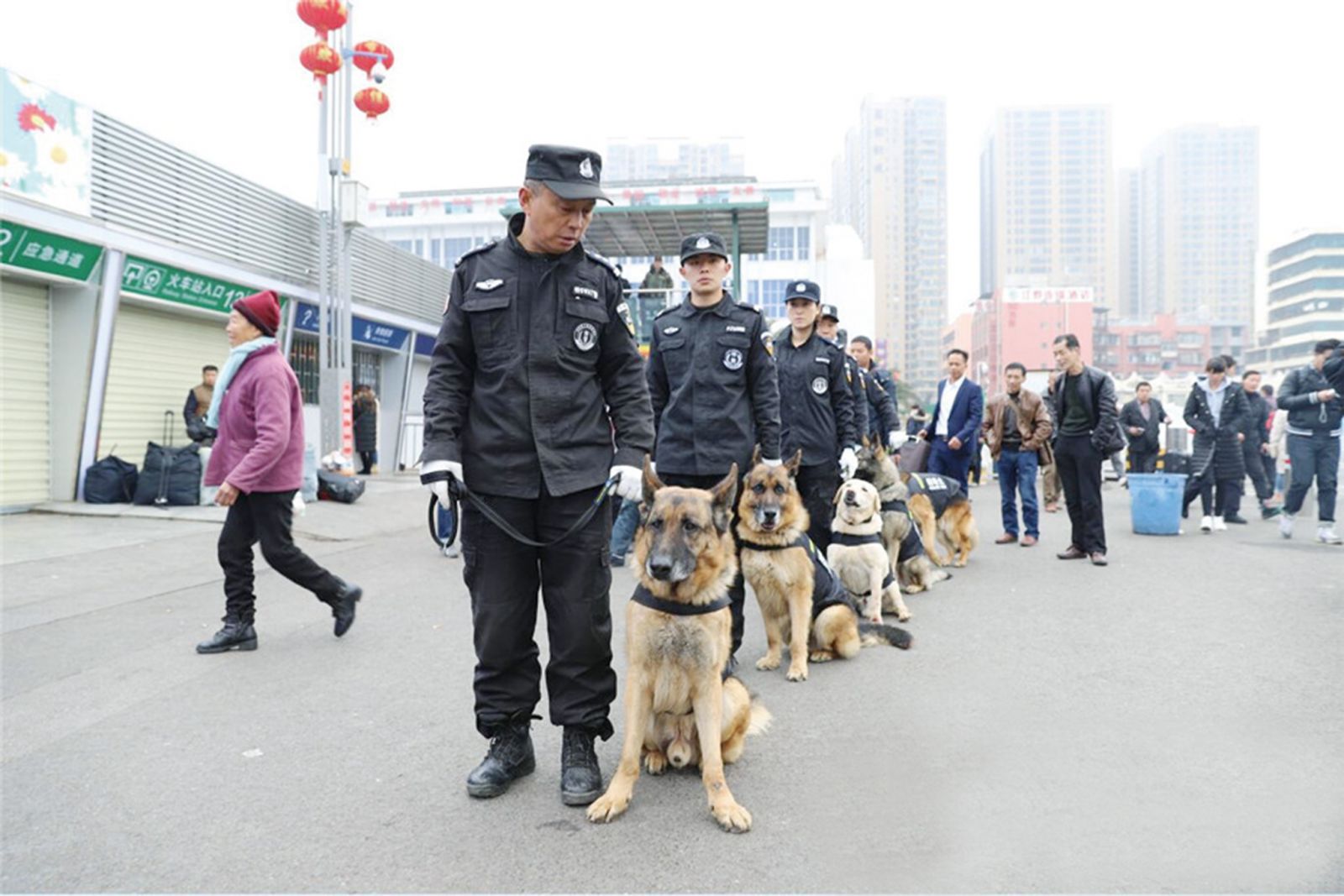 可賣萌可嚴肅