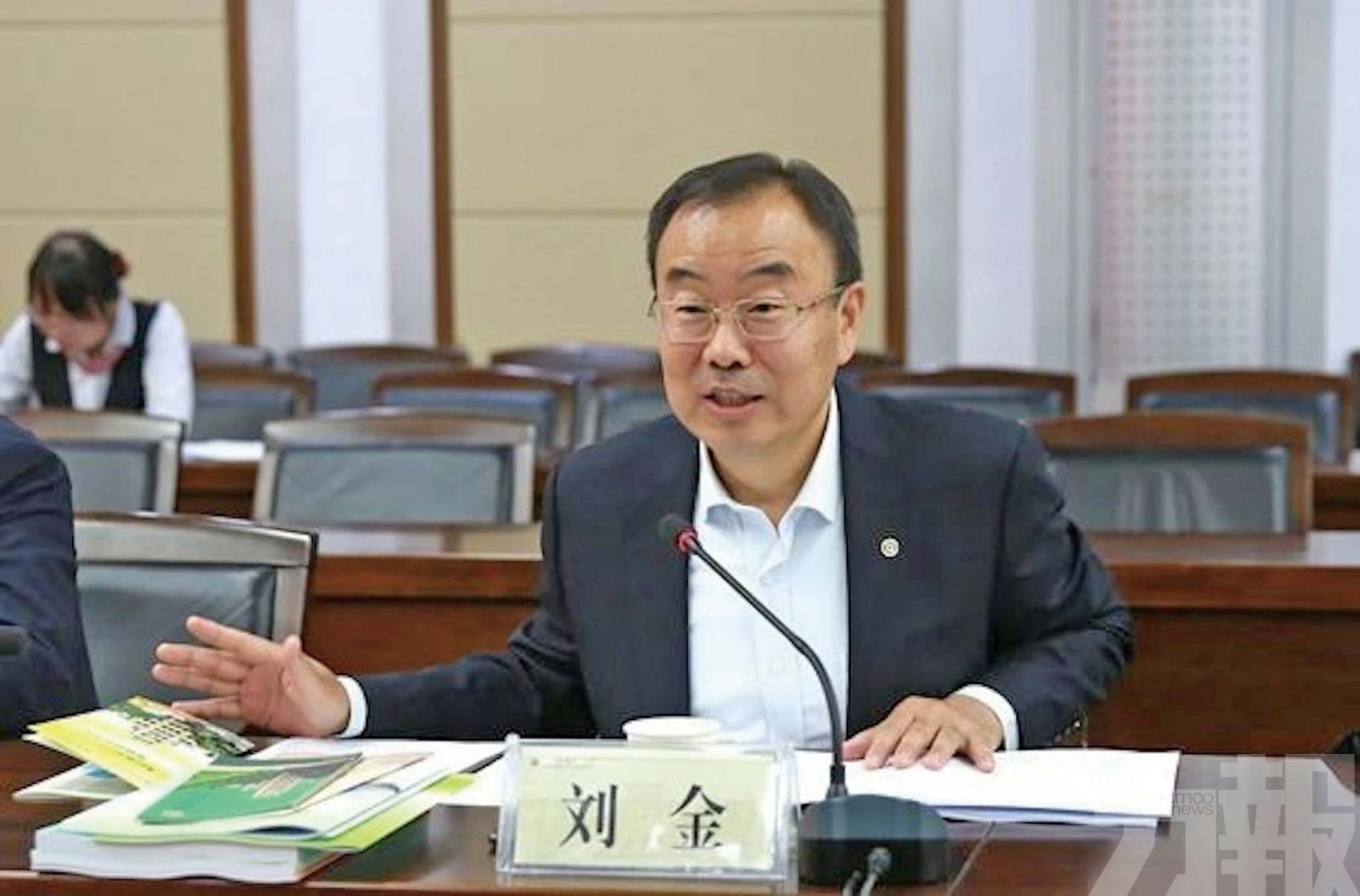 中銀行長劉金因個人原因辭職